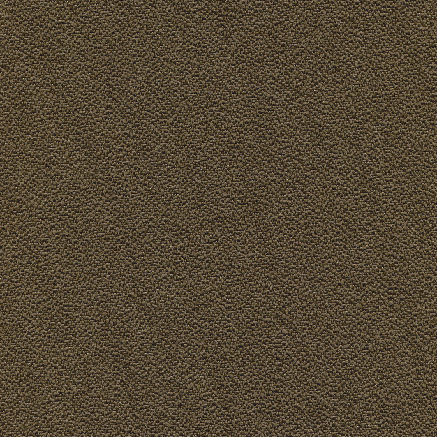 Crepe Bark - 21406